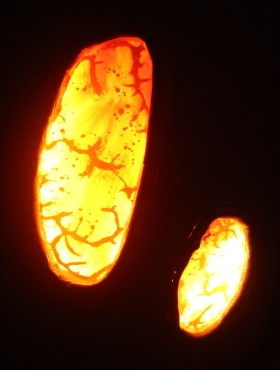 lampe tronc chêne liège sol stuc chaux ocre orange vitraux