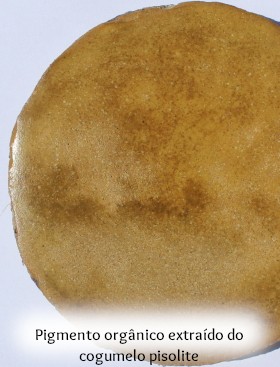 amostra estuque de cal pigmento laca vegetal caseiro