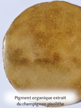 échantillons stuc à la chaux coloré avec pigment laque végétal organique artisanal fait maison