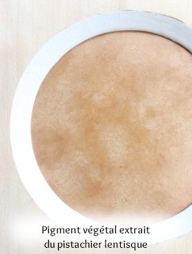 échantillons stuc à la chaux coloré avec pigment laque végétal organique artisanal fait maison - pistachier lentisque