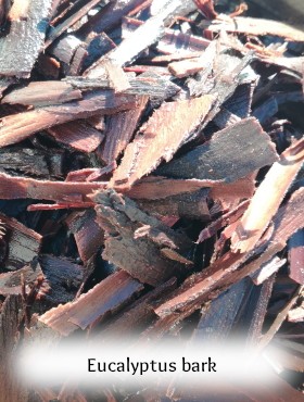 pigment-lacquer-vegetable-homemade-bramble-eucalyptus