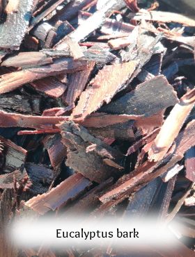 pigment-lacquer-vegetable-homemade-bramble-eucalyptus