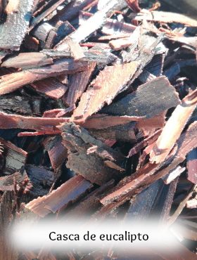 pigmento de laca extraído de plantas silvas eucalipto