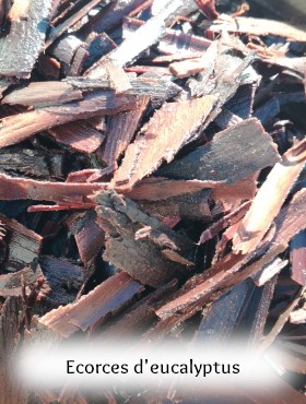 pigment laque végétal artisanal fait maison ronce et eucalyptus