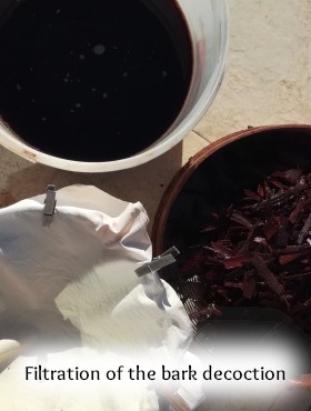 pigment-lacquer-vegetable-homemade-bramble-eucalyptus