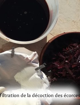 pigment laque végétal artisanal fait maison ronce et eucalyptus