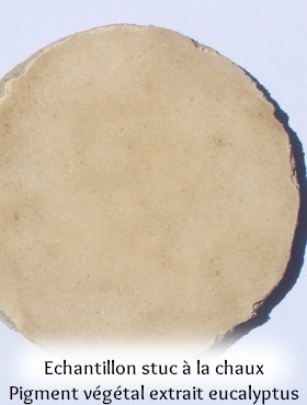 pigment laque végétal artisanal fait maison ronce et eucalyptus