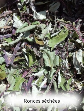 pigment laque végétal artisanal fait maison ronce et eucalyptus