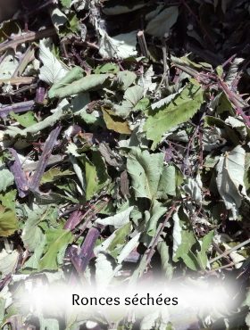 pigment laque végétal artisanal fait maison ronce et eucalyptus