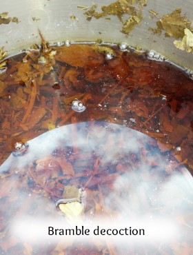 pigment-lacquer-vegetable-homemade-bramble-eucalyptus