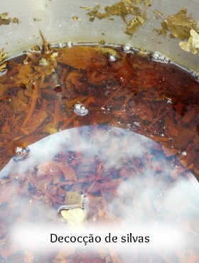 pigmento de laca extraído de plantas silvas eucalipto