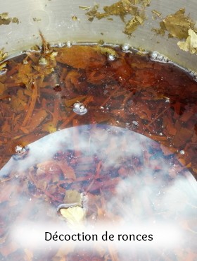 pigment laque végétal artisanal fait maison ronce et eucalyptus