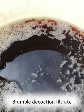 pigment-lacquer-vegetable-homemade-bramble-eucalyptus