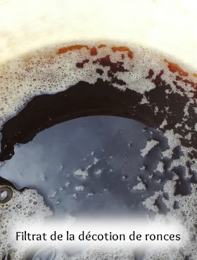 pigment laque végétal artisanal fait maison ronce et eucalyptus