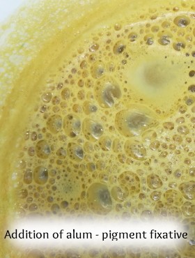 pigment-lacquer-vegetable-homemade-bramble-eucalyptus