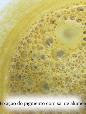 pigmento de laca extraído de plantas silvas eucalipto