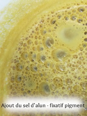 pigment laque végétal artisanal fait maison ronce et eucalyptus