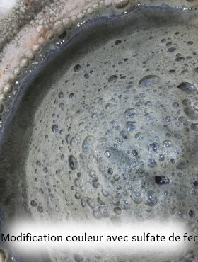 pigment laque végétal artisanal fait maison ronce et eucalyptus