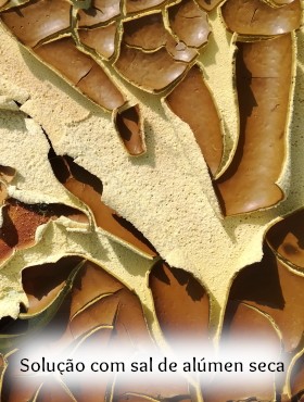 pigmento de laca extraído de plantas silvas eucalipto