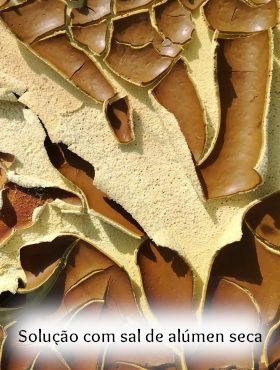 pigmento de laca extraído de plantas silvas eucalipto