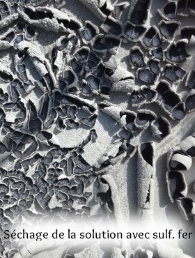 pigment laque végétal artisanal fait maison ronce et eucalyptus