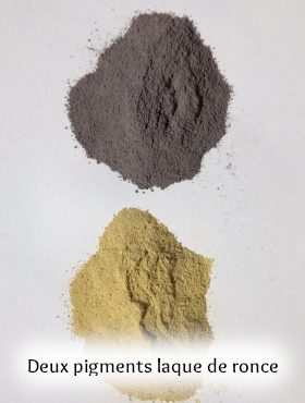 pigment laque végétal artisanal fait maison ronce et eucalyptus