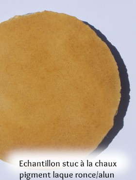 pigment laque végétal artisanal fait maison ronce et eucalyptus